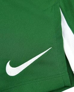 Nike Team Spike Vert Short De Volley Pour Homme -Magasin De Mode 0901nz 302 short de volley nike team spike vert pour homme 0901nz 302 06