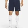 Nike Dri-FIT Academy Bleu Marine Et Blanc Short Pour Homme