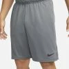 Nike Dri-FIT Gris Short De Training Pour Homme