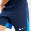 Nike Academy Pro Bleu Marine Short Pour Homme