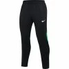 Nike Academy Pro Noir & Vert Pantalon De Survêtement Pour Homme