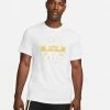 LeBron Nike Dri-FIT Blanc Tee-shirt De Basket Pour Homme